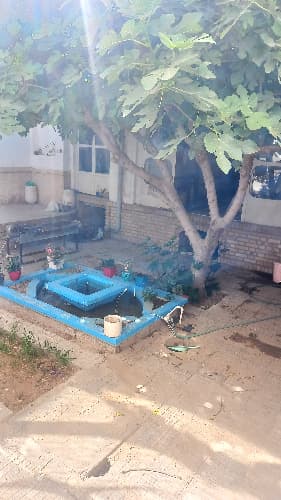 منزل آقای خطیبی _ یزد_ محله ی مکتب امام - تصویر 2