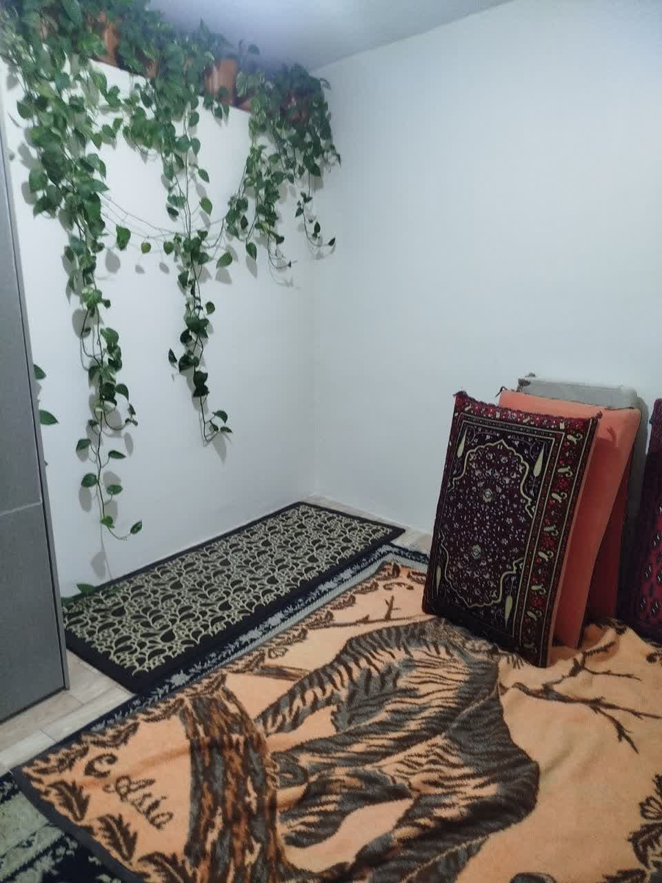ویلای آقای محمودیان_ شهریارـ بخش جوقین - تصویر 1