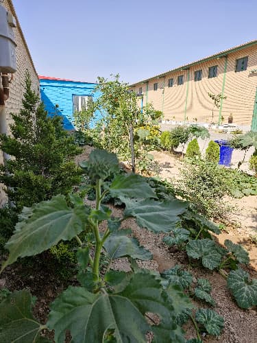سوئیت آقای سامانی - تهران - اسلامشهر - کمربندی شمالی