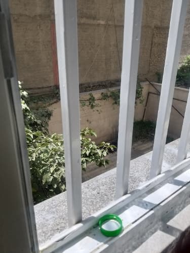 منزل آقای رضائی زاده -تهران- بلوار شقایق - تصویر 2